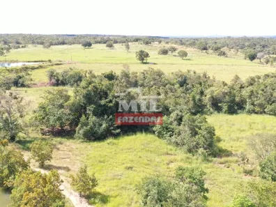Fazenda/Sítio à venda, 315m² no , Mara Rosa