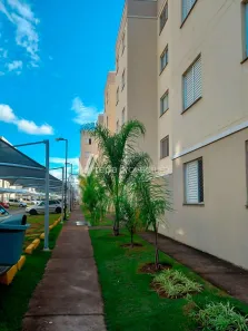 Apartamento com 2 Quartos à venda, 48m² no Recanto Fortuna, Campinas