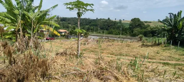 Lote/Terreno à venda, 3250m² no Loteamento Residencial Pedra Alta (Sousas), Campinas