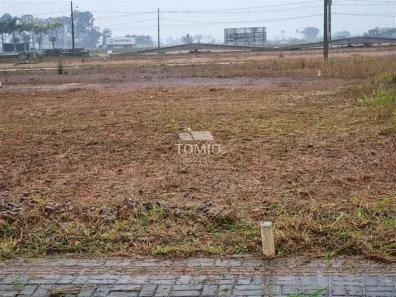 Lote/Terreno à venda, 300m² no , Ilhota