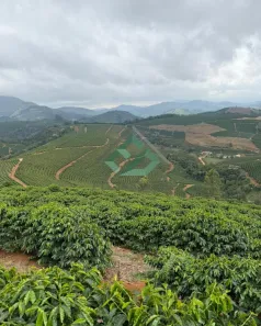 Lote/Terreno à venda, 895400m² no Centro, Manhuaçu