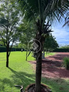Lote/Terreno à venda, 5100m² no Condomínio Alto da Boa Vista, Senador Canedo