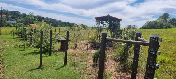 Lote/Terreno à venda, 1010m² no Jardim Verdes Vale, Mandaguaçu