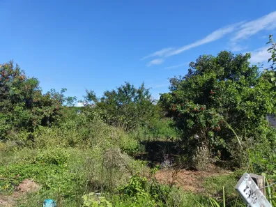Lote/Terreno à venda, 600m² no Maria Joaquina (Tamoios), Cabo Frio