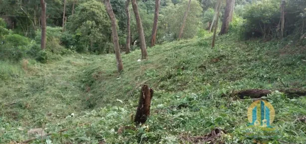 Lote/Terreno à venda, 525m² no Jardim Isaura, Santana de Parnaíba