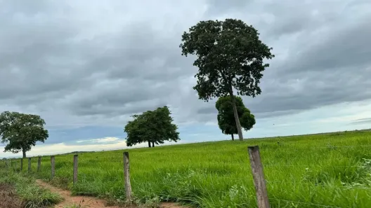 Fazenda/Sítio com 6 Quartos à venda, 29040000m² no , Aruanã