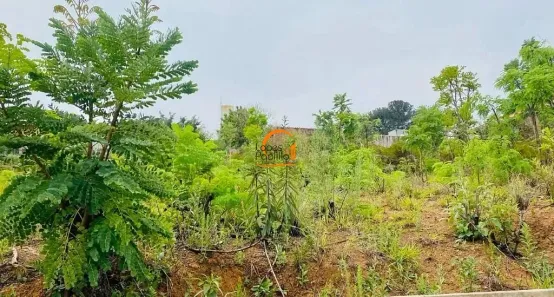 Lote/Terreno à venda, 551m² no Campos de Atibaia, Atibaia