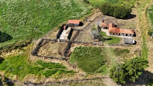 Fazenda/Sítio com 3 Quartos à venda, 1167650m² no , São Miguel Arcanjo