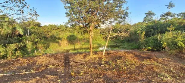 Fazenda/Sítio à venda, 710000m² no , Rosário