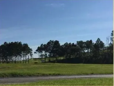 Lote/Terreno à venda, 10900m² no Cajuru do Sul, Sorocaba