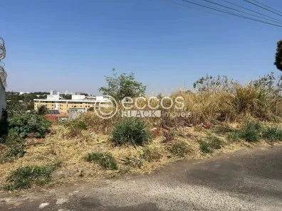 Lote/Terreno à venda, 250m² no Jardim Patrícia, Uberlândia