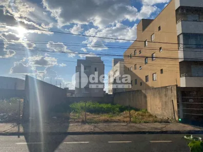 Lote/Terreno à venda, 330m² no Santa Mônica, Uberlândia
