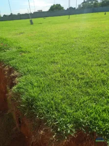 Imóvel Comercial à venda, 5000m² no Alzira Ramos, Cariacica
