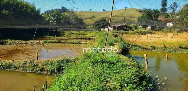 Fazenda/Sítio à venda, 131833m² no Luiz Carlos, Guararema