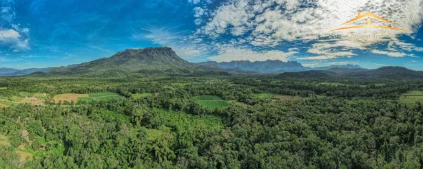 Fazenda/Sítio com 1 Quarto à venda, 96800m² no Centro, Morretes
