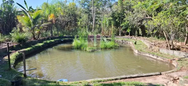 Fazenda/Sítio com 1 Quarto à venda, 65m² no Barreiro, Taubaté