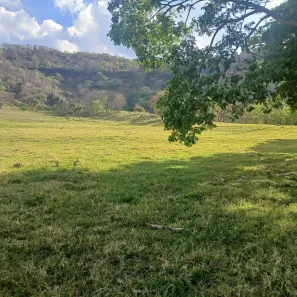 Fazenda/Sítio com 1 Quarto à venda, 169400m² no , Santo Antônio da Alegria