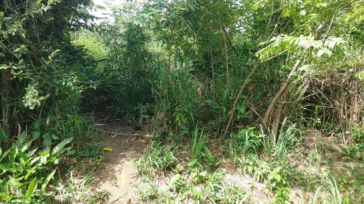 Lote/Terreno à venda, 550m² no Jacaroá, Maricá