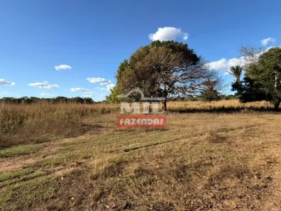 Fazenda/Sítio à venda, 1m² no , Cocalinho
