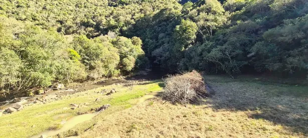 Fazenda/Sítio com 4 Quartos à venda, 190000m² no , Alfredo Wagner