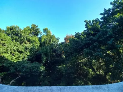 Apartamento com 2 Quartos à venda, 40m² no Gávea, Rio de Janeiro
