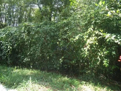 Lote/Terreno à venda, 1250m² no Altos de São Fernando, Jandira