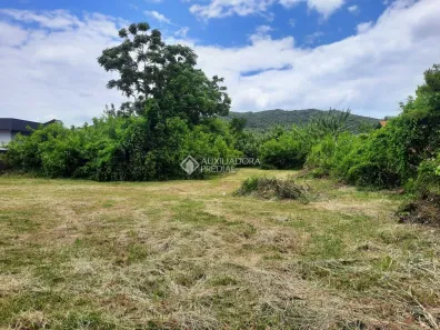 Lote/Terreno à venda, 1680m² no Campeche, Florianópolis