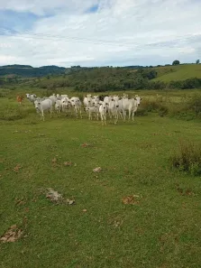 Fazenda/Sítio com 2 Quartos à venda, 108900m² no , Monte Santo de Minas