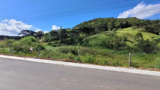 Lote/Terreno à venda, 20000m² no Centenário, São Bento do Sul