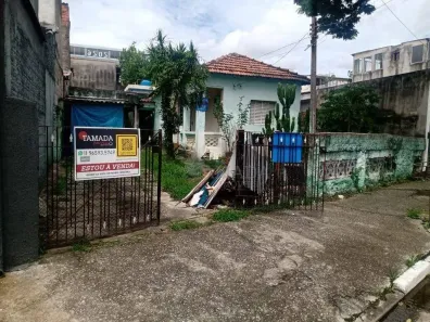 Lote/Terreno à venda, 289m² no Vila Guilhermina, São Paulo