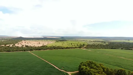 Lote/Terreno à venda, 21400000m² no , Itiquira