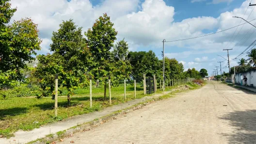 Fazenda/Sítio com 5 Quartos à venda, 20m² no Centro, Conceição da Feira