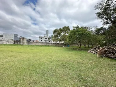 Lote/Terreno para alugar, 6000m² no Barra, Balneário Camboriú