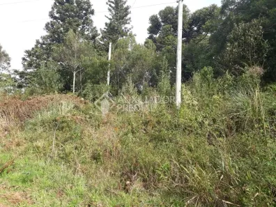 Lote/Terreno à venda, 120700m² no Tres Pinheiros, Gramado