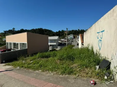 Lote/Terreno à venda, 253m² no Bela Vista, Palhoça