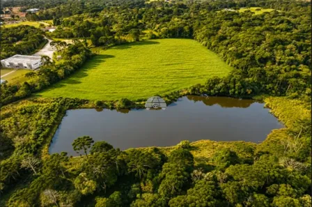 Fazenda/Sítio à venda, 81724m² no Agua Clara, Mandirituba