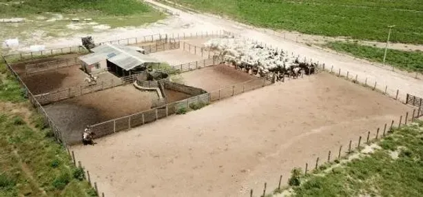 com 3 Quartos à venda, 17799m² no , Baianópolis