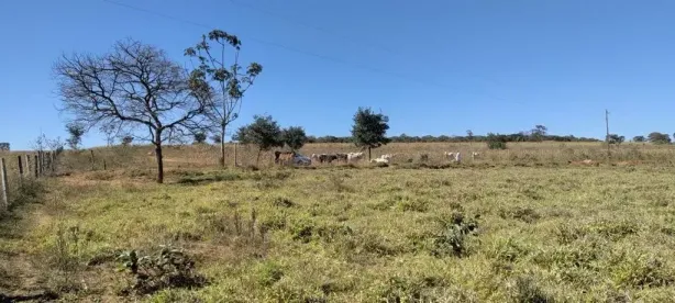 Fazenda/Sítio à venda, 20m² no , Bela Vista de Goiás
