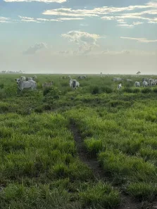 Fazenda/Sítio à venda, 20120000m² no Área Rural de Corumbá, Corumbá