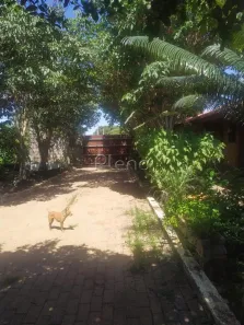 Fazenda/Sítio com 2 Quartos à venda, 1000m² no Parque Independência, Cosmópolis