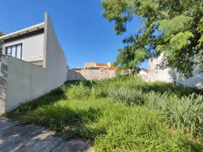 Lote/Terreno para alugar, 276m² no Jardim Califórnia, Ribeirão Preto