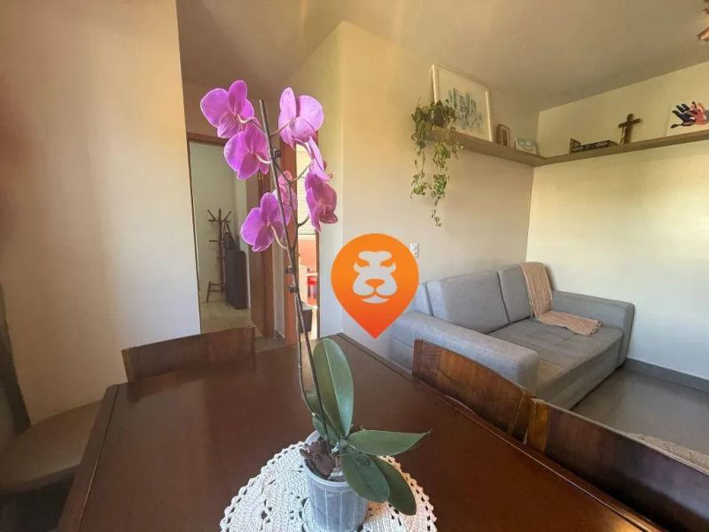 Foto 21