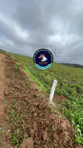 Lote/Terreno à venda, 500m² no Recreio Topázio (Caucaia do Alto), Cotia