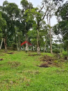Lote/Terreno à venda, 3400m² no Centro, São Francisco de Paula