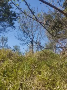 Lote/Terreno à venda, 6000m² no Centro, Vargem Grande Paulista
