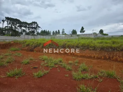 Lote/Terreno à venda, 10000m² no Água Espraiada (Caucaia do Alto), Cotia