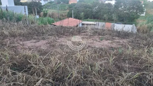 Lote/Terreno à venda, 380m² no Jardim das Paineiras, Campinas