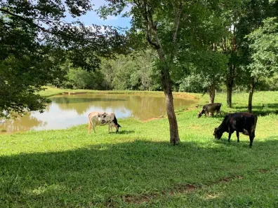 Fazenda/Sítio com 5 Quartos à venda, 130000m² no Girassol, Cocalzinho de Goiás