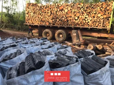 Fazenda/Sítio à venda, 92000m² no , Pilar do Sul
