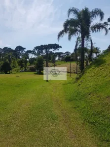 Fazenda/Sítio com 3 Quartos à venda, 143000m² no Centro, Campo Alegre